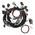 MAIN HARNESS, TERMINATOR TBI, LSX, 24X