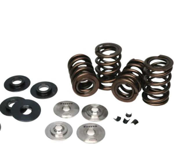 Ferrea Toyota 2JZ Turbo Dual Spring Kit