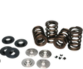 Ferrea Toyota 2JZ Turbo Dual Spring Kit