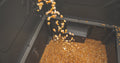 600# STAND & FILL SLED FEEDER W/ DIVERTER PLATE & SOLAR PANEL