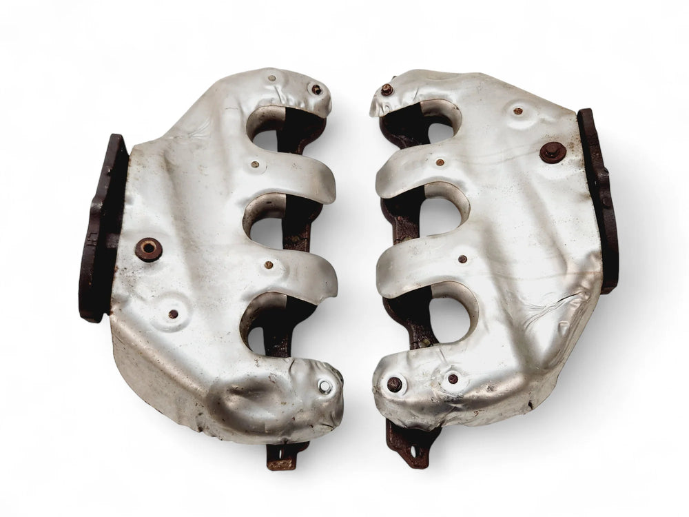 F-(S)MANIFOLD