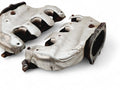 F-(S)MANIFOLD