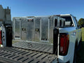 DOG BOX