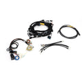 Rywire Honda B/D-Series OBD2 Tucked Budget Engine Harness w/Chassis Specific Adapter