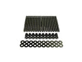 Wagner Tuning BMW S63 Engine OEM Head Stud Set - Burnished