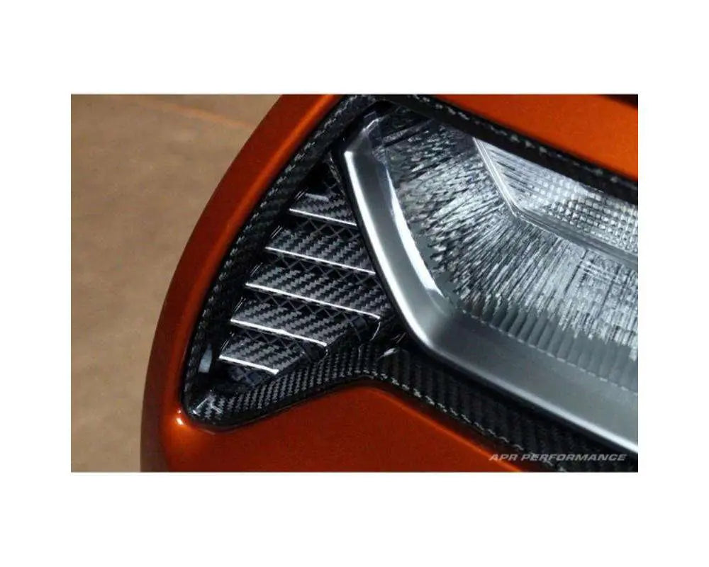 CF Tail light Bezel C7 Co