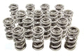 PAC RACING SPRINGS springs