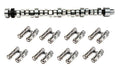 XE 212/218 H-Roller Cam Pontiac 265-455