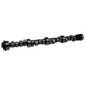 Olds Xtreme Energy Hyd. Roller Cam - XR262HR