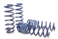 H&R springs