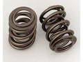 Race St 1.320" Dual Springs 1.77 Inst Ht