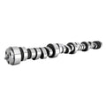 Strt/Strp EFI 237/247 H-Rlr Cam Ford 5.0