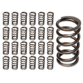 Cummins 99-18 R034034843 135 Pressure 1.500 installed Height. for longer valves comes with Titanium Retainers