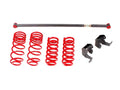 LOWERING SPRING PACKAGE