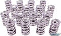 PAC RACING SPRINGS springs