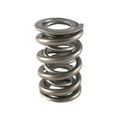 1.500 Dual Valve Springs (16)