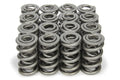 PAC RACING SPRINGS springs