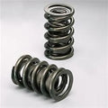 VALVE SPRINGS