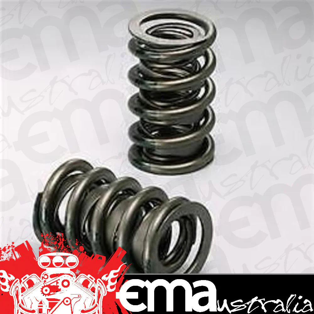 VALVE SPRINGS