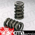VALVE SPRINGS