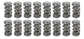 1.500 Dual Valve Springs (16)