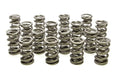 PAC RACING SPRINGS springs