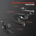 HEADLIGHT LVL SENSOR
