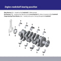 Clevite auto part