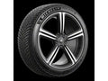 Michelin Pilot Alpin 5 295/30R21 102V XL