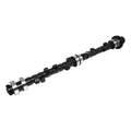 C-Thumpr 227/241 S-Flt Cam Flathead Ford