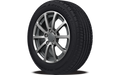 BFGoodrich Advantage Control 195/55R16 87V