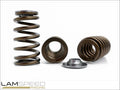 Kelford BA TURBO 6 RACE SPRING AND RETAINER KIT