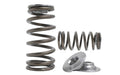 Kelford Cams titanium springs