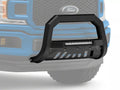 2004-2020 FORD F-150 AR BULL BAR W/