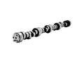 XE 230/244  Hyd Roller Cam GM LT1/LT4