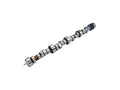 XE 220/230 Hyd Roller Cam GM LT1/LT4