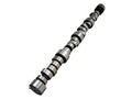 XE 230/236 Solid Roller Cam for SBC