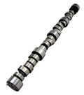 Magnum 255/255 Solid Roller Cam SBC