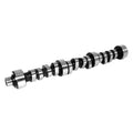 XE 210/220 H-Roller Cam GM 3800/3.8L V6