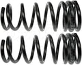 COIL SPRINGS