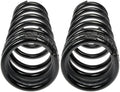 COIL SPRINGS