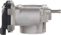 NEW THROTTLE BODIES