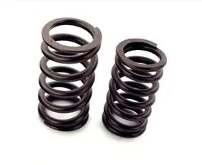 Ferrea Racing springs