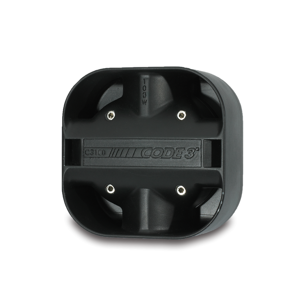 C3100 SPEAKER 100W W/O BRKTS
