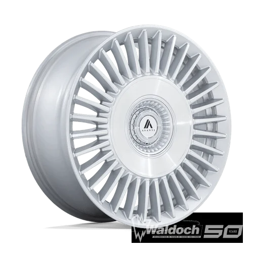 AB40 20X10.5 BLANK G-SLV BR-MCH-FC