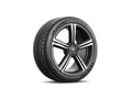 Michelin Pilot Sport A/S 4 315/30R21 105V XL
