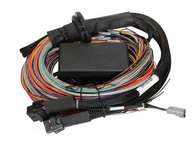 Haltech Universal Elite 2500/2500 T Premium Wire-In Harness