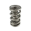 1.645 Triple Valve Springs (16)