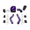 Wehrli 19-23 Cummins 6.7L Coolant Tank (OEM Placement) - Illusion Blueberry