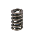 Ferrea Racing springs